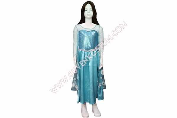 Buzlar Kraliçesi Elsa Kostümü